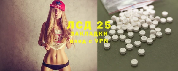 спайс Алзамай