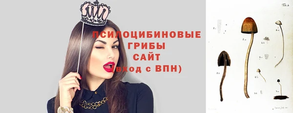 гашик Алексеевка