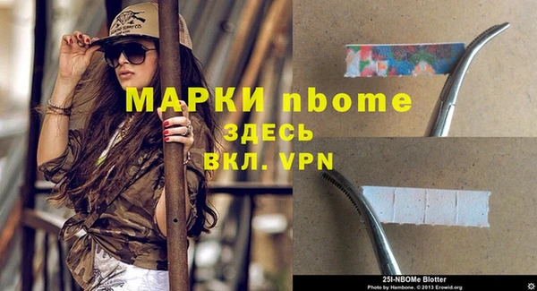 индика Абаза