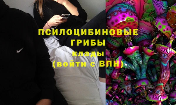 индика Абаза